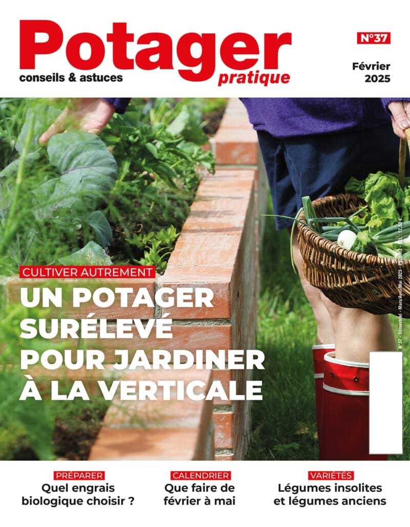 potager-pratique-n37